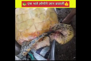 भले लोगोने जान बचाली ||😭 बेचारा कछवा || #animals #rescue #shorts #viral #mrbeast @SK KARAN FACT