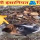 यह जानवर🐕यहां कैसे फंस🥵गया🤔Man save dogs life||Animal rescue team||Amezing Fact about Dog. #shorts