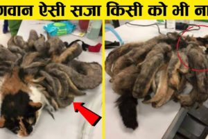 ये विडियो आपको रुला देगा Top heart touching moment of animal rescue part -3