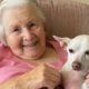 100-year-old woman adopts a senior dog. Now they are inseparable.