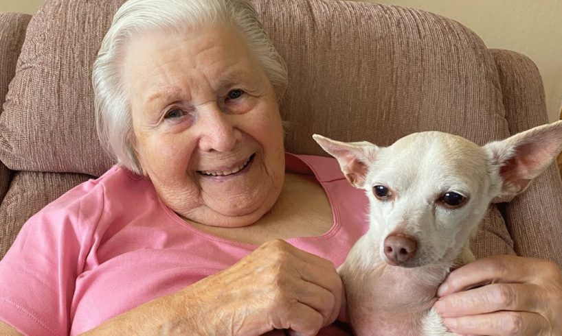 100-year-old woman adopts a senior dog. Now they are inseparable.