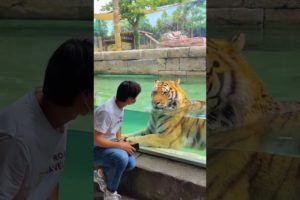 Wild Animals   Pray & Predators    Shorts   Viral Video   Trends   Animals   Prey Animals   Predator