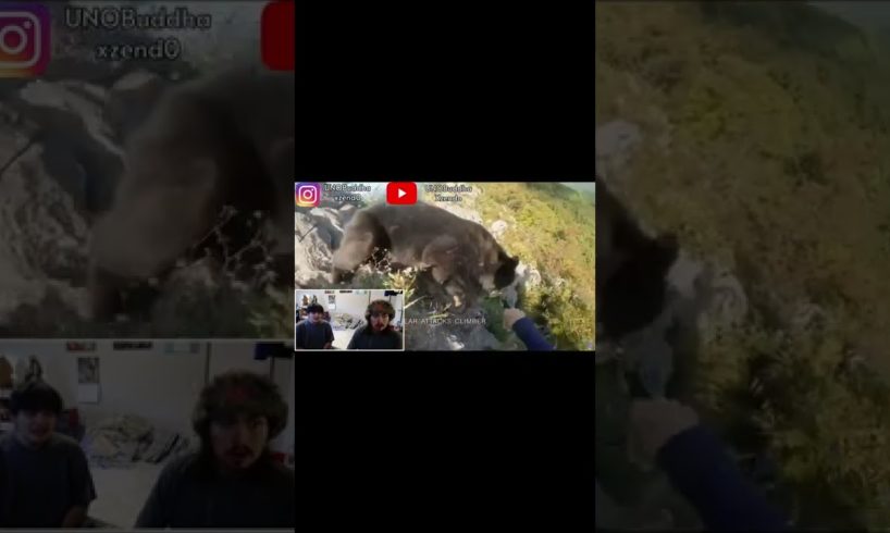 NEAR DEATH CAPTURED by GoPro