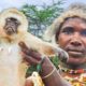 72 Hours with Africa's Last Monkey-Eating Tribe!!