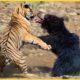 8 Deadly Battles Of The Natural World's Most Ferocious Animals | Animal Fights