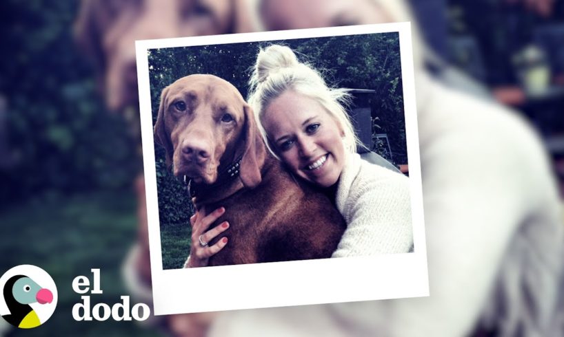 A todas las mascotas que amaremos para siempre, sin importar dónde estén | Almas Gemelas | El Dodo