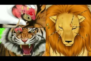 ASMR wildlife rescue | saving animals | animal rescue | lion -tiger rescue | saving wildlife matters