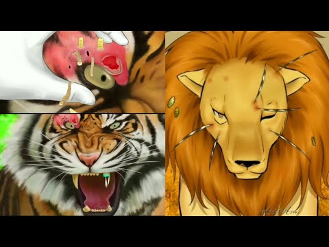 ASMR wildlife rescue | saving animals | animal rescue | lion -tiger rescue | saving wildlife matters