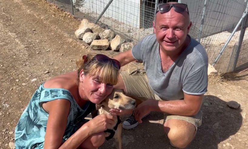 Amazing news for Chrysa ! She is Adopted!!. - Takis Shelter