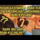 Anak Kucing Jalanan dalam Tong Kayu Menunggu Ibunya Pulang Siapa Ibu Kucing ini? Video Sedih Kucing