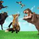 Animal Attacks  - Animals Fight -  Animal Facts -  wild animal  - farm animal