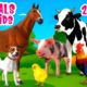 Animals for Kids 25 min Farm animal sound