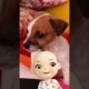 Babsy Baby Loves Cute Baby Dogs Compilation ❤️ The Most Cutest Puppies Ever In The World #Shorts