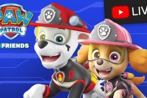 🔴 Best PAW Patrol Ultimate Rescue, Rescue Knights, and More Live Stream | Cartoons for Kids