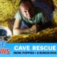 CAVE rescue with lots of puppies, and a bonus dog who read my mind!!!