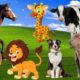 CUTE LITTLE ANIMALS - ELEPHANT, CAT, DUCK, DOG, RABBIT, CHICKEN - ANIMAL MOMENTS
