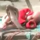 Cobra saves a child's life! Animal-rescuers caught on camera