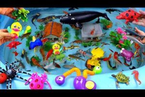 Cute Animals, Giant Whale, Crocodile, Flapping Duck, Black Shark, Turtle, Seahorse, Snake, Goldfish