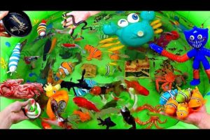 Cute Animals, Nemo Clownfish, Rainbow Snail, Goldfish, Cotton Snake, Cute Crab, Crayfish, Sailfish