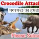 Deadliest Animal Attack | Craziest Animal Fights 2023| मगरमच्छों के अबतक के सबसे खतरनाक हमलें