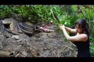 Full-video: Confront Wild Animals - Fight and Survive Miraculously/ 7 Days Bushcraft & Survival