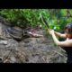 Full-video: Confront Wild Animals - Fight and Survive Miraculously/ 7 Days Bushcraft & Survival