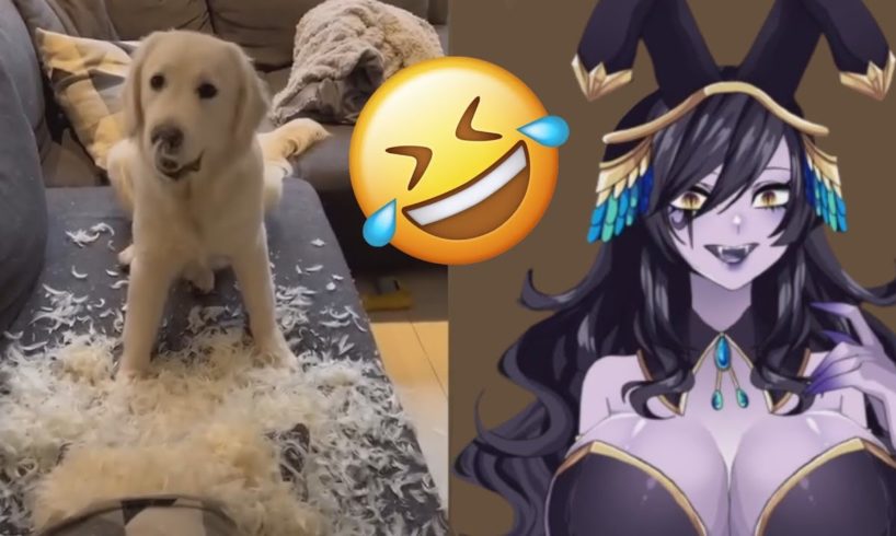 Goddess Vexoria Reacts to Fails of the Week! | FailArmy