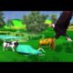 Horse Saved Forest Wild Animal | Animal Fight | Eagle ||Wooly Elephant | Rabbit | Cartoon Cow | Deer