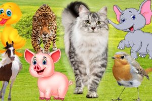 Learn about animals playing every day. Lovely animals: cows, elephants, cats, horses