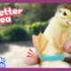 Little Duck With Crooked Legs Needs Our Help! | Dodo Kids | All Better