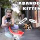 MANGE INFESTED KITTENS RESCUED FROM ALLEY!