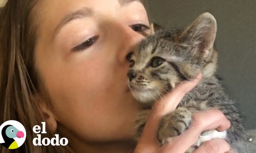 Niña de 12 años cría gatitos rescatados sin parar | El Dodo