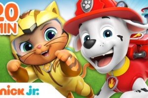 PAW Patrol Best Cat Pack Rescues & Adventures! | 20 Minute Compilation | Nick Jr.