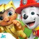 PAW Patrol Best Cat Pack Rescues & Adventures! | 20 Minute Compilation | Nick Jr.