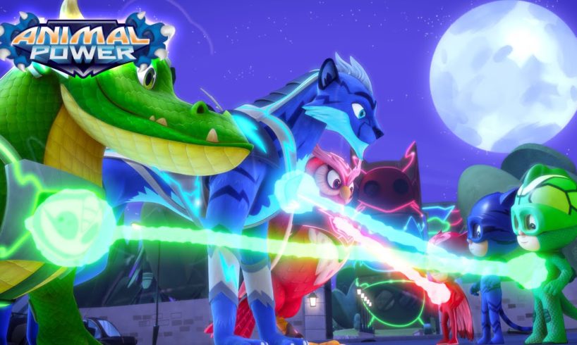 PJ Riders | Animal Power | Season 5 New Full Episode | PJ Masks Official