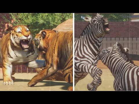 Planet Zoo (1.11) All Animal Fights