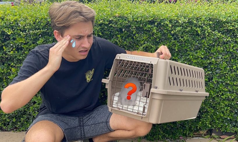 RESCUING BABY ANIMAL FROM HORRIBLE LIVING CONDITIONS ! WHAT IS IT ?!