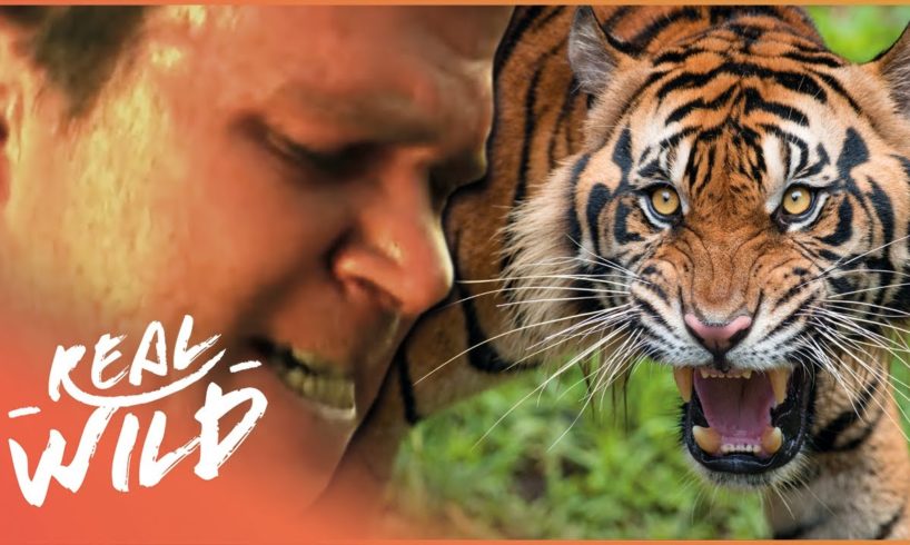 Real Life Near Death Animal Attacks | Human Prey Part 1 | Real Wild
