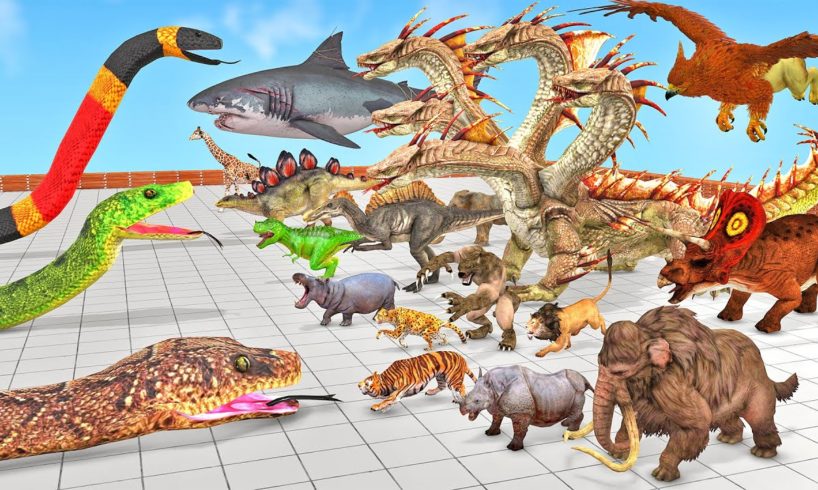 Reptiles Battle - Revolt of Giant Titanoboa vs Wild Animals Dinosaur Animal Revolt Battle Simulator