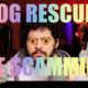 RicTalks - I want a dog BUT dog rescues are SCAMS