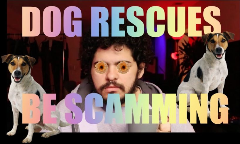 RicTalks - I want a dog BUT dog rescues are SCAMS