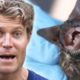Scariest (And Friendliest) Animals Ever! 🦇🎃 HALLOWEEN TRICK OR TREAT SPECIAL | Bondi Vet Compilation