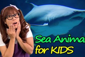 Sea Animals | Educational Video for Kids