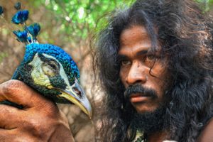 Sri Lankan Tribe Hunts Peacock!! 24 Hours With the Vedda!!