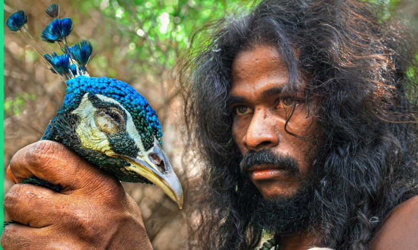 Sri Lankan Tribe Hunts Peacock!! 24 Hours With the Vedda!!