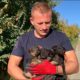 Such little puppies abandoned in a ditch by the road | Dog Rescue Shelter