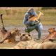 Try Not To Laugh Cats And Dogs 2022 - Video Of The FUNNIEST ANIMALS On Earth 🐧