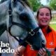 Woman Moves Away To Follow Her Dream To Rescue Animals | The Dodo Heroes