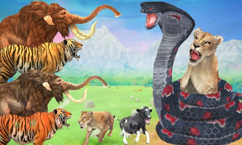 Zombie Tiger vs King Cobra Fight Baby Lion Rescue Saved By Woolly Mammoth Elephant Wild Animal Battl