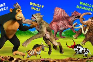 Zombie Wolf Vs Woolly Spinosaurus Giant Monkey Saved Biggest Woolly Mammoth Dinosaur Animal Fight